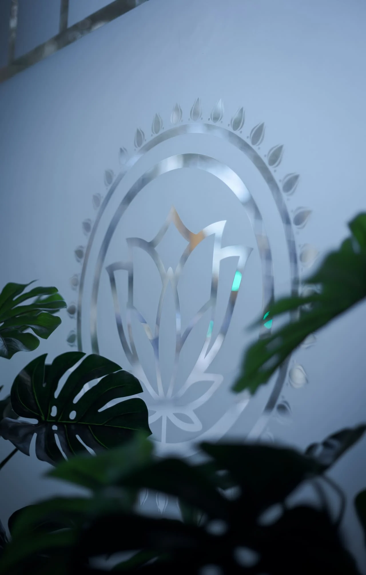 Club Cannabico Tulipan - Asociacion Barcelona