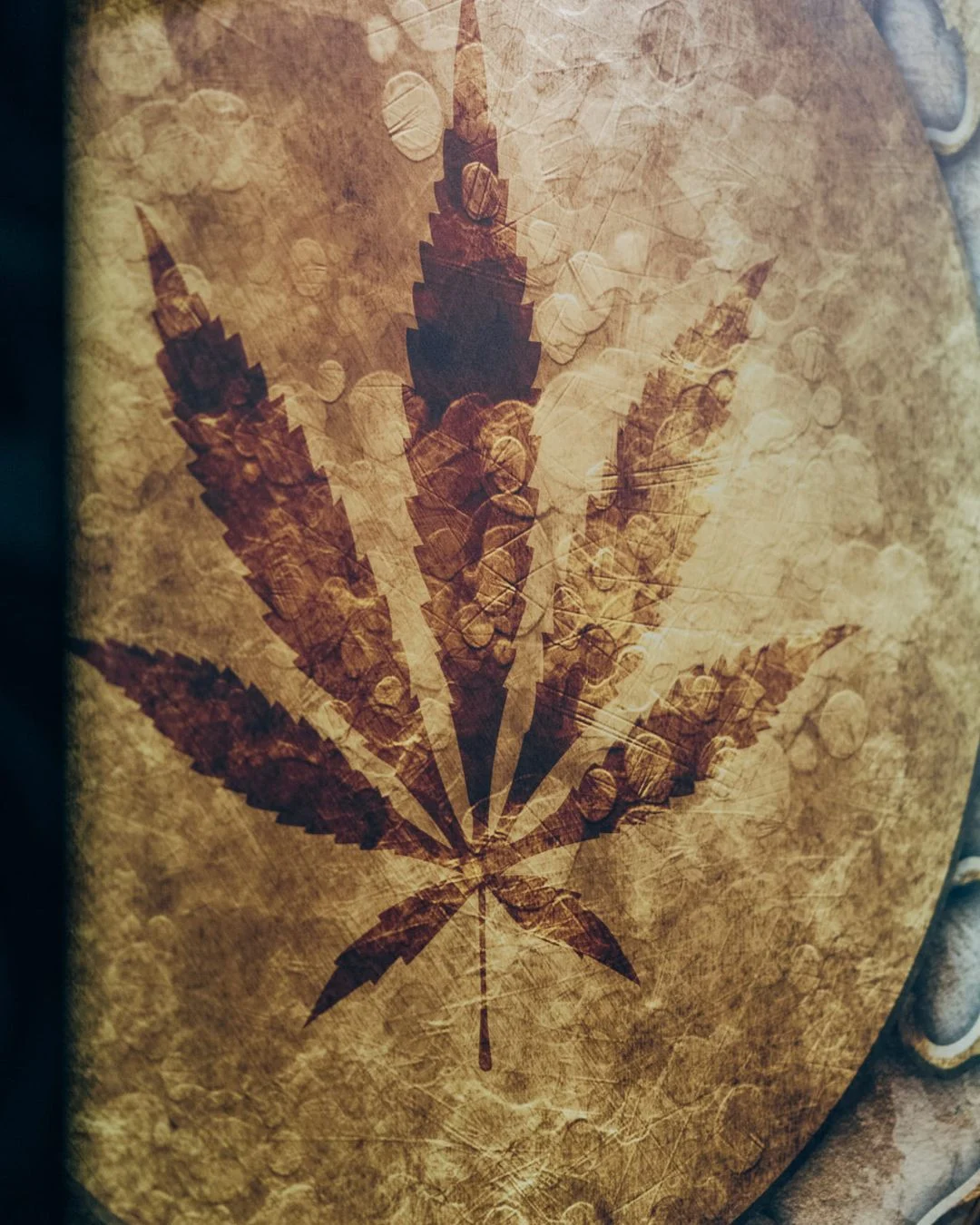 Medican Map - Asociacion Cannabica Tulipan Barcelona